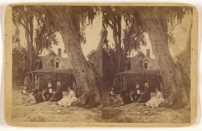 [Casa de H(arriet) B(eecher) Stowe en Florida] de Unknown artist