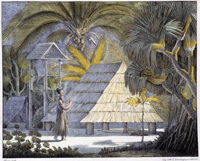 Hábitat en las Islas Radak, archipiélago de las Islas Marshall. Grabado del siglo XIX de Unknown artist