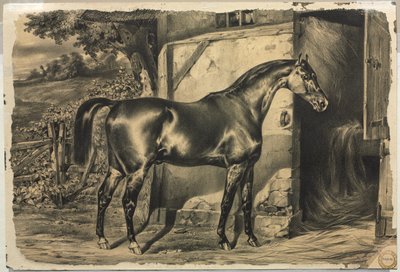 Caballo frente a un granero (reverso) de Unknown artist