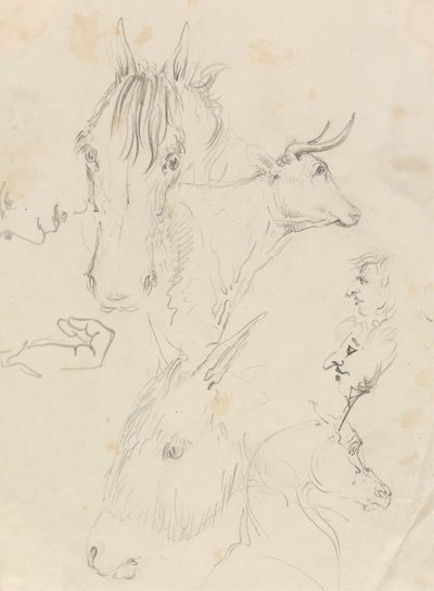 Caballos, vacas y hombres de Unknown artist