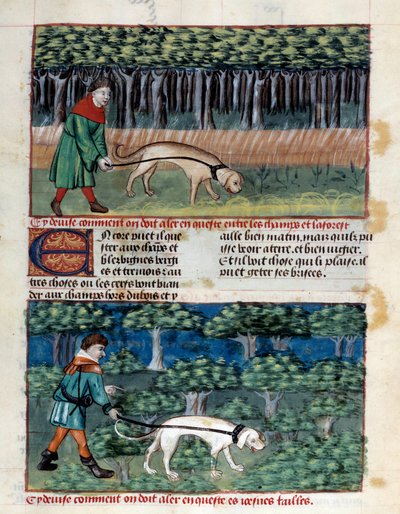 Cómo conducir perros Miniatura tomada de “El libro de la caza” por Gaston III Phoebus, Conde de Foix, Señor de Bearn (1331-1391) de Unknown artist