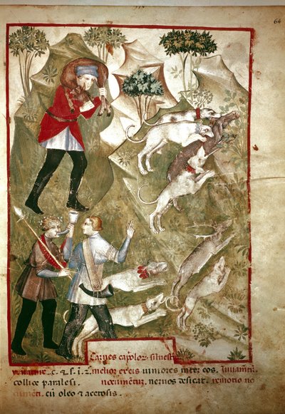 Caza (Miniatura, siglo XIV) de Unknown artist