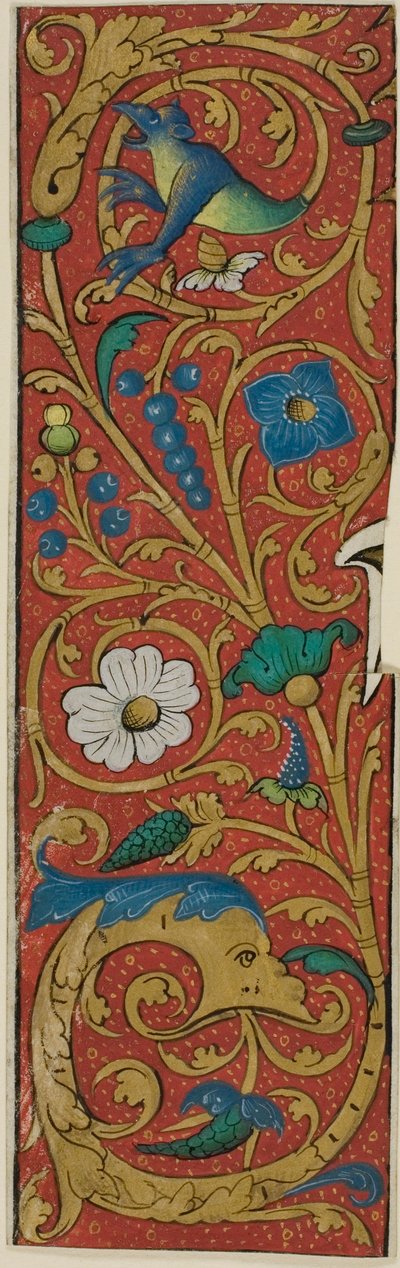 Bordura iluminada con grotescos y flora de un manuscrito de Unknown artist
