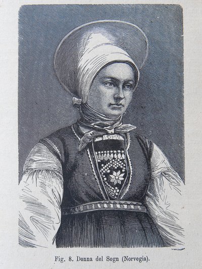 Ilustración de "La raza humana" de Louis Figuier de Unknown artist
