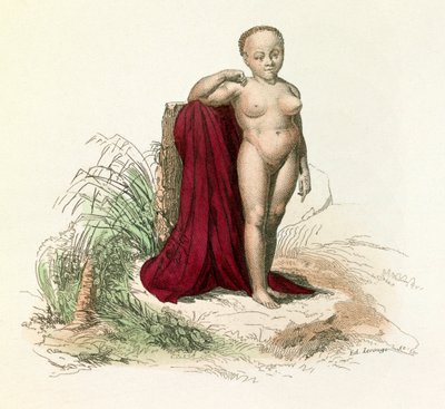 Ilustración del libro "Obras Completas de Buffon": Historia Natural del Hombre: Negresse blanc (grabado) de Unknown artist