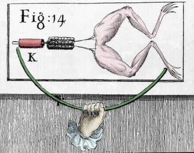 Ilustración de experimentos de Luigi Galvani, físico y médico italiano (1737 - 1798) explicando el paso de la corriente eléctrica moviendo las patas de una rana. de Unknown artist