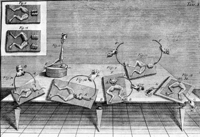 Ilustración de experimentos de Luigi Galvani, físico y médico italiano (1737 - 1798) explicando el paso de corriente eléctrica moviendo las patas de una rana. de Unknown artist