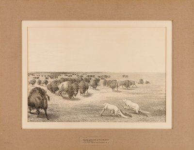 Indios disfrazados de lobos--no. 13 de Unknown artist