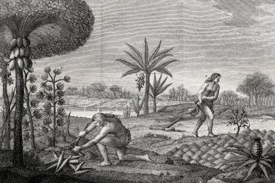 Indígenas trabajando la tierra en la cuenca del Orinoco de Colombia. Grabado 1780 de Unknown artist