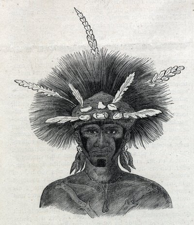 Indígenas de Nueva Guinea: "negro" de Doreh. Grabado en "El Universo Ilustre" de Unknown artist