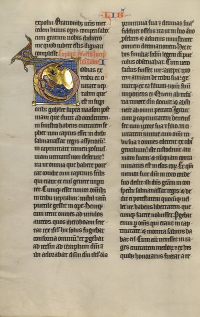 Inicial T: El cegamiento de Tobit de Unknown artist