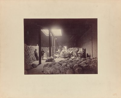 [Interior de la casa de clasificación de lana, Walter Brown and Company] de Unknown artist