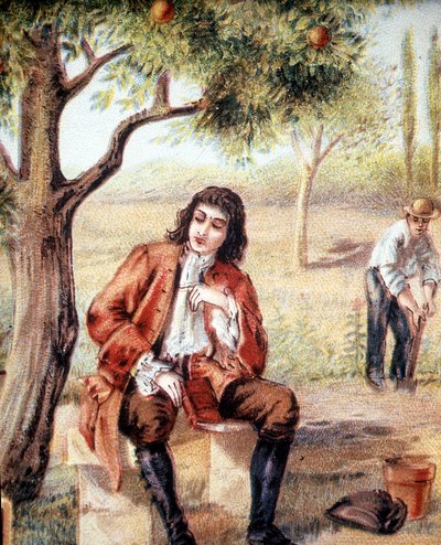 Isaac Newton (1642-1727), matemático, físico y astrónomo inglés, encuentra la teoría de la gravitación observando la caída de un manzano, ilustración del siglo XIX. de Unknown artist