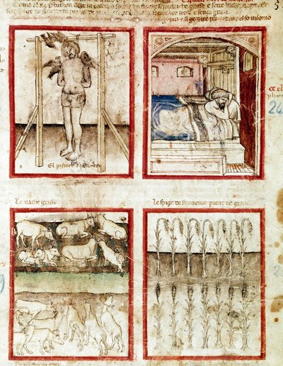 José interpreta los sueños del panadero que termina decapitado. En la parte superior derecha, el faraón sueña con las siete vacas gordas, premonición de los años de abundancia y las siete vacas flacas de los años de hambruna Miniatura tomada del códice 212 de Unknown artist