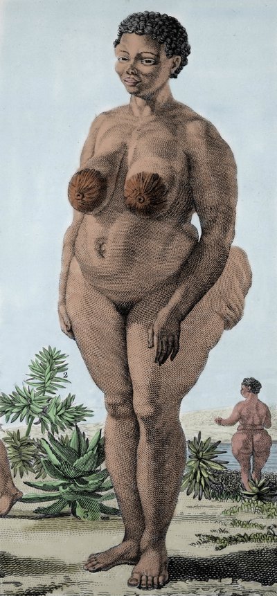 La Venus Hotentote, mujer de la raza Bochiman; grabado de 1815. de Unknown artist