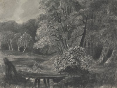 Paisaje con estanque de Unknown artist
