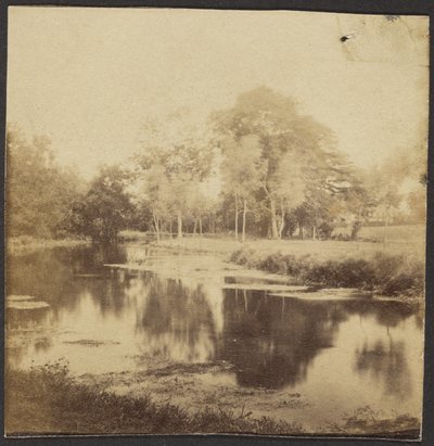 [Paisaje con estanque] de Unknown artist