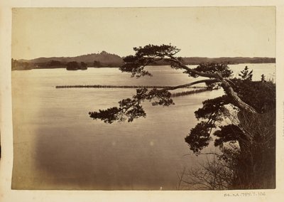 [Paisaje con lago y árboles] de Unknown artist