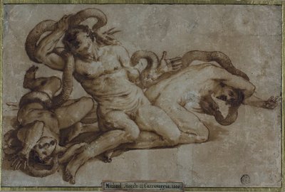 Laocoön de Unknown artist