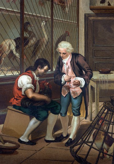 Lazzaro Spallanzani (o Spalanzani) de Unknown artist