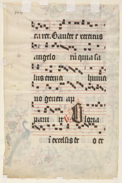 Hoja de una antifonaria: Texto (verso) de Unknown artist