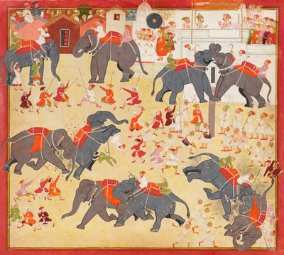 Maharana Raj Singh observando una pelea de elefantes de Unknown artist