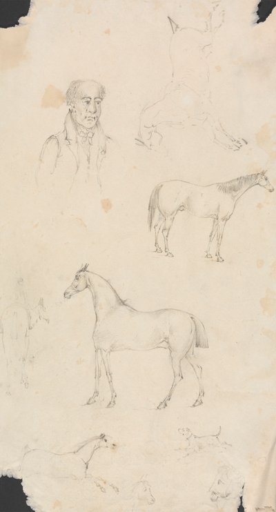 El hombre, los caballos y los perros de Unknown artist