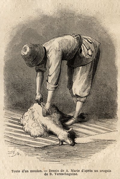 Esquila de una oveja por un joven tártaro, en Schusha (Transcaucasia, Rusia). Grabado para ilustrar el viaje en las provincias del Cáucaso, por Basile Vereschaguine, en 1864-1865, publicado en “Le tour du monde”, bajo la dirección de D