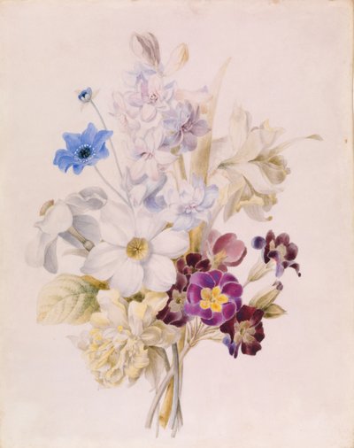 Narciso y otras flores de Unknown artist
