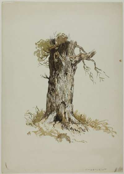Tronco de árbol viejo (anverso); Tronco de árbol viejo (reverso) de Unknown artist