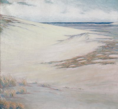 Sobre las dunas, Cape Cod, Massachusetts de Unknown artist
