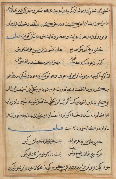 Página de Cuentos de un loro (Tuti-nama): página de texto de Unknown artist