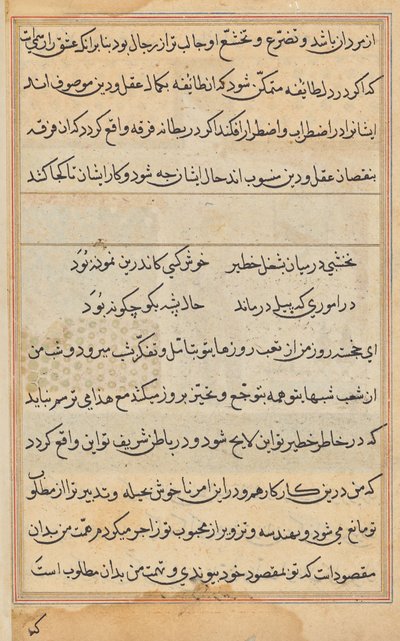 Página de los Cuentos de un Loro (Tuti-nama): página de texto de Unknown artist