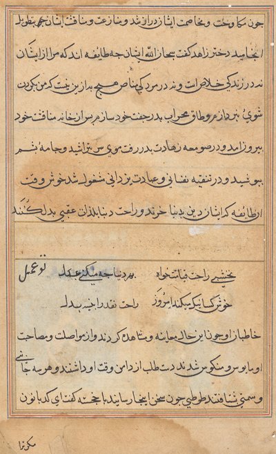 Página de Cuentos de un Loro (Tuti-nama): página de texto de Unknown artist