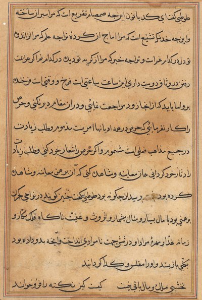 Página de Cuentos de un Loro (Tuti-nama): página de texto de Unknown artist