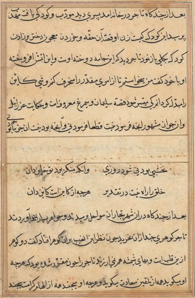 Página de Cuentos de un Loro (Tuti-nama): página de texto de Unknown artist