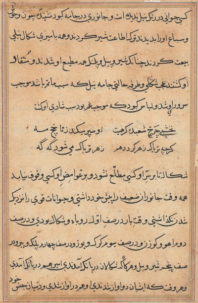 Página de Cuentos de un Loro (Tuti-nama): página de texto de Unknown artist