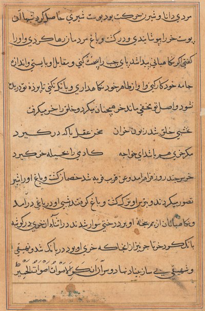 Página de Cuentos de un Loro (Tuti-nama): página de texto de Unknown artist