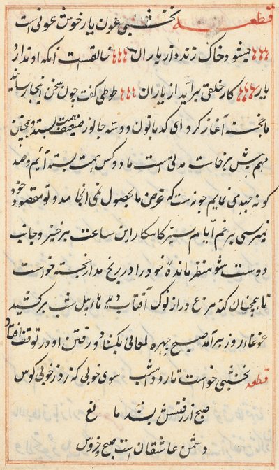 Página de Cuentos de un loro (Tuti-nama): página de texto de Unknown artist