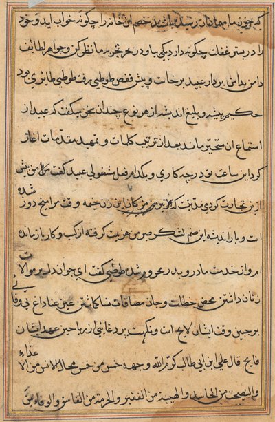 Página de Cuentos de un Loro (Tuti-nama): página de texto de Unknown artist