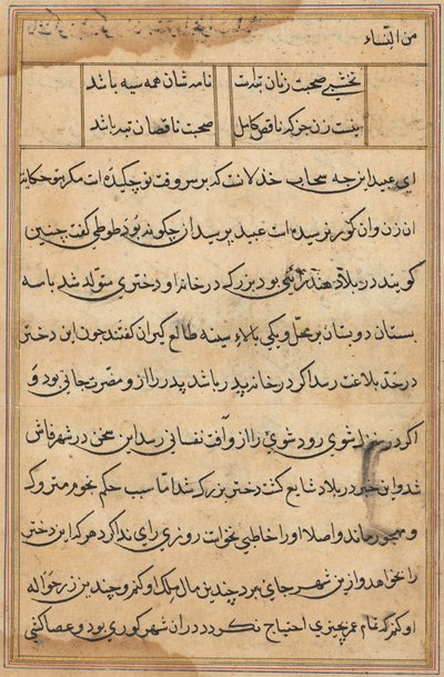 Página de Cuentos de un Loro (Tuti-nama): página de texto de Unknown artist