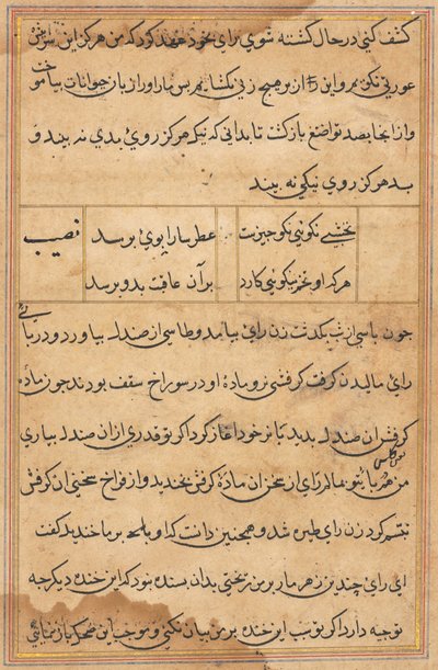 Página de Cuentos de un Loro (Tuti-nama): página de texto de Unknown artist