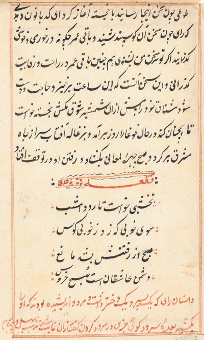 Página de Cuentos de un Loro (Tuti-nama): página de texto de Unknown artist