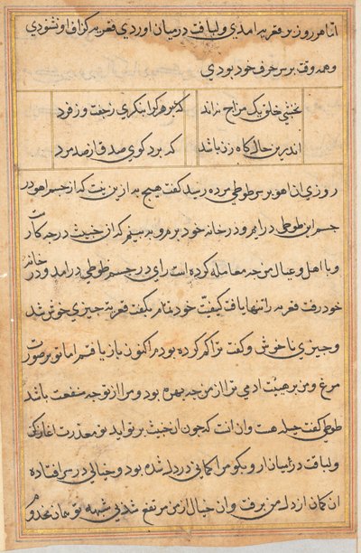 Página de Cuentos de un Loro (Tuti-nama): página de texto de Unknown artist