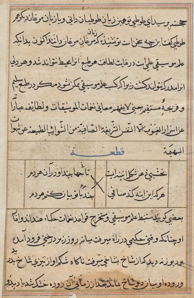 Página de Cuentos de un loro (Tuti-nama): página de texto de Unknown artist