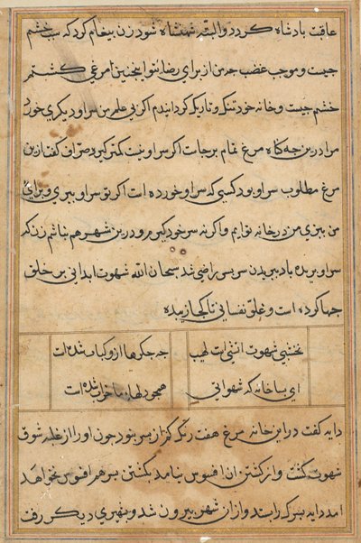 Página de Cuentos de un loro (Tuti-nama): página de texto de Unknown artist