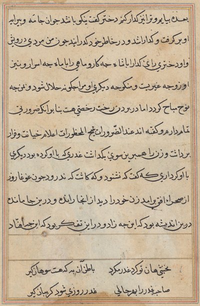 Página de Cuentos de un loro (Tuti-nama): página de texto de Unknown artist