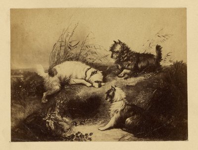 [Pintura de perros por Charles Tomkins] de Unknown artist