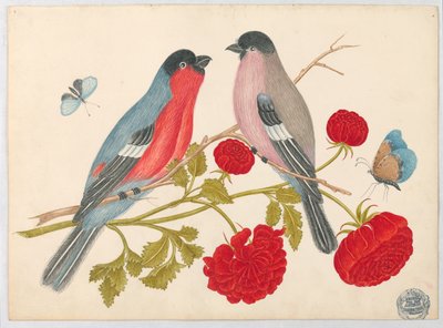 Pareja de Pájaros en Rama con Rosas y Mariposas de Unknown artist