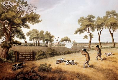 Escena de caza de perdices: litografía del siglo XIX de Unknown artist